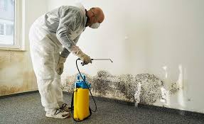 Best Industrial Mold Remediation in Lake Mohegan, NY